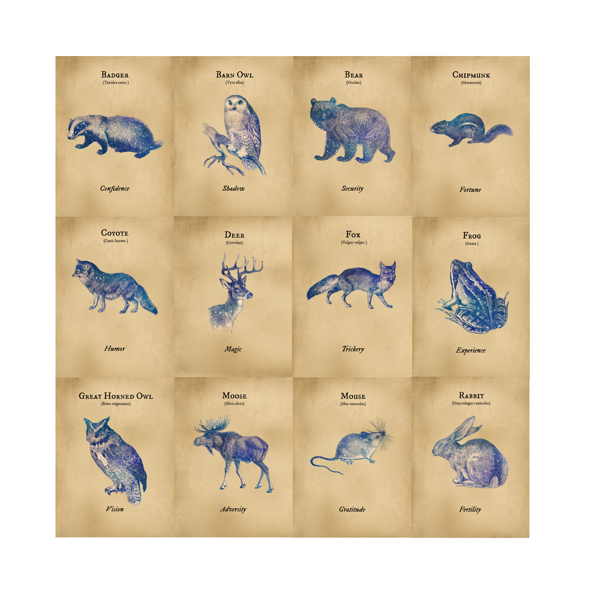 PREORDER: The Woodland Animals Oracle